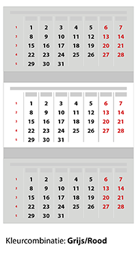 3-maandskalender-premium-grijs-rood