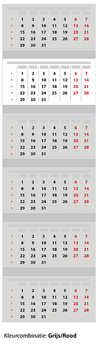 6-maandskalender-premium-grijs-rood